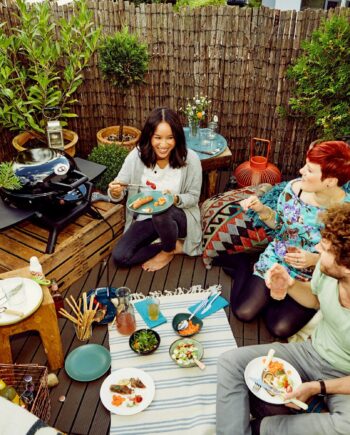 -420   Minichef Elgrill